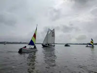 de Dolfijnen varen in optimisten op de Binnenschelde van Bergen op Zoom